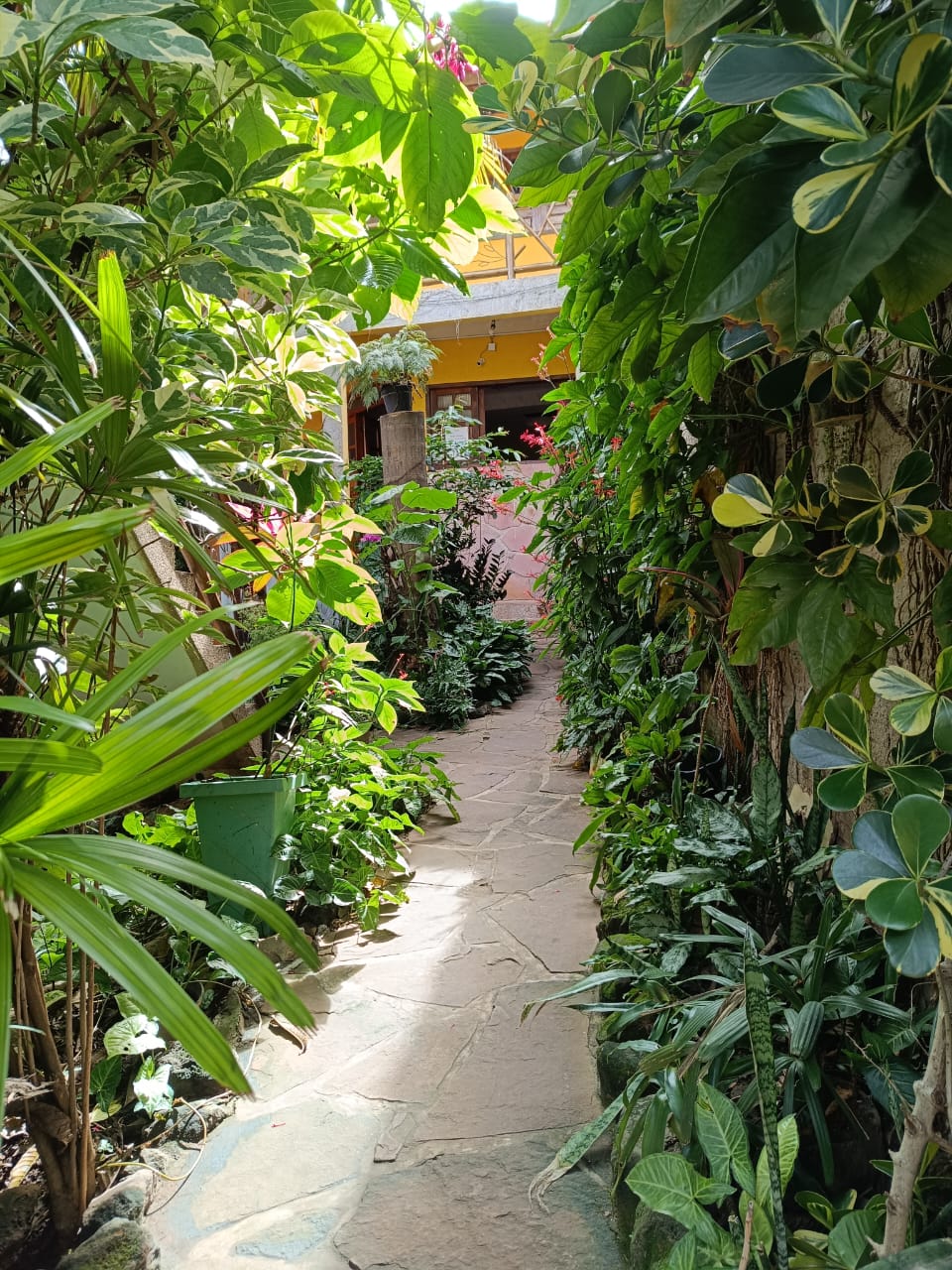Caminho de pedras entre a vegetação do jardim da pousada